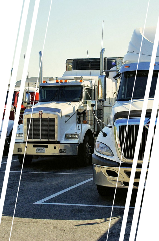 GPS Antiportonazo.cl